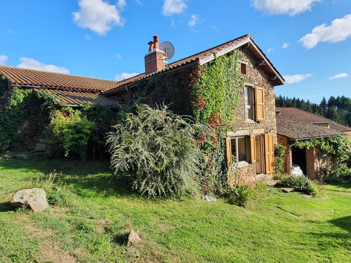 Eco-Gite Cottage Panoramique, Terrasses, Baby Foot, 150 M2 Renove Et Agrandi En 2024, Activites Proposees Champagnac-le-Vieux Exterior photo